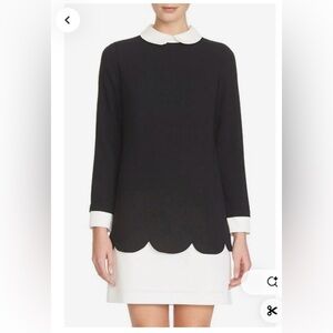 CeCe black dress with white collar and scallop detail